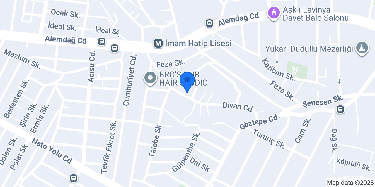 Ada İlaçlama İstanbul konumu