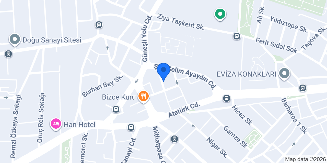 Profesyonel İnternet Sitesi konumu