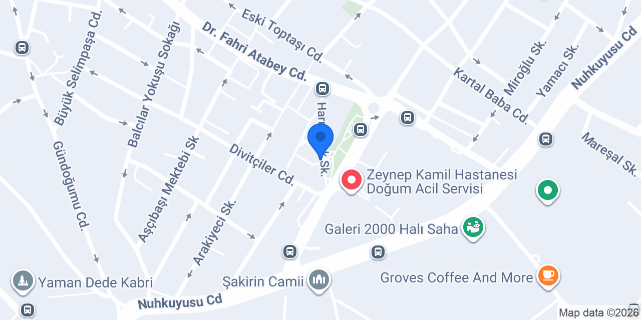 Akdeniz Çiçek konumu