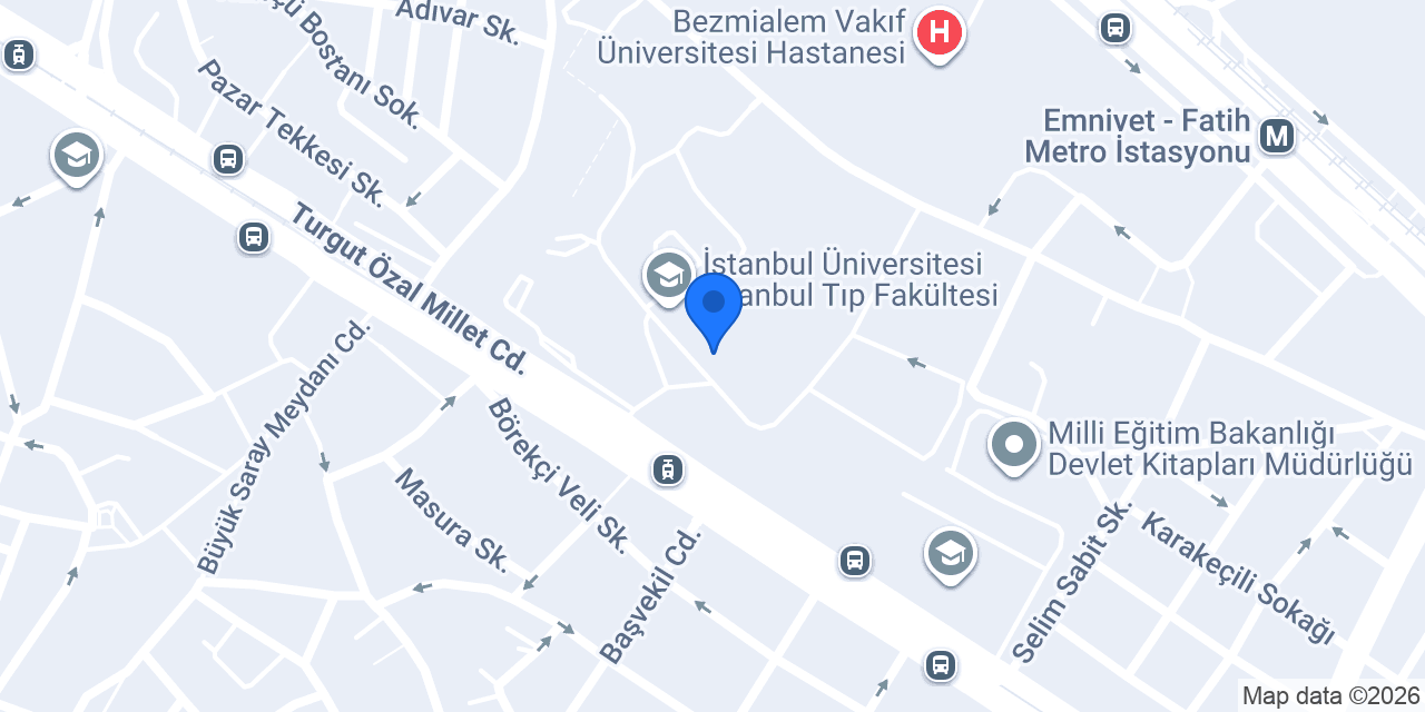 Moleküler Psikoloji Eğitim ve Danışmanlık Fatih/Çapa konumu