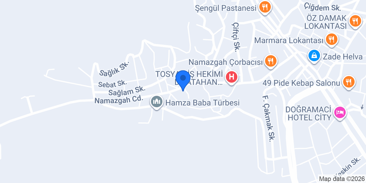 Tosya Efe Oto Kurtarma konumu