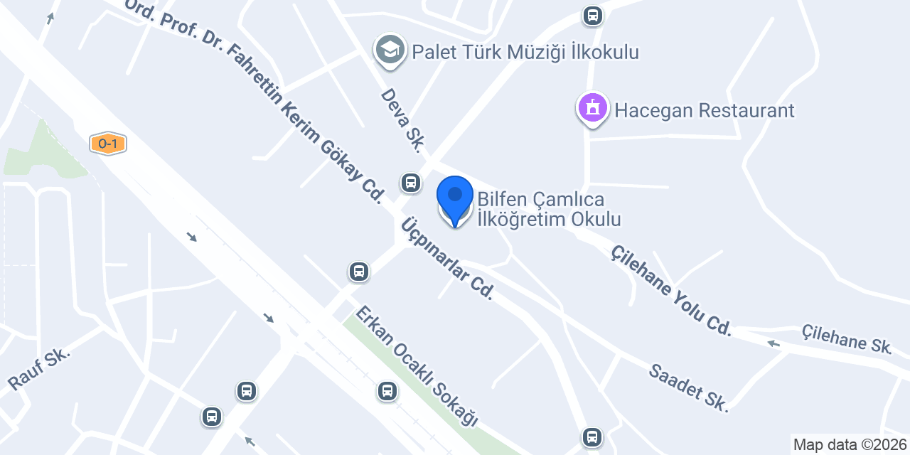 Bilfen Çamlıca İlköğretim Okulu konumu