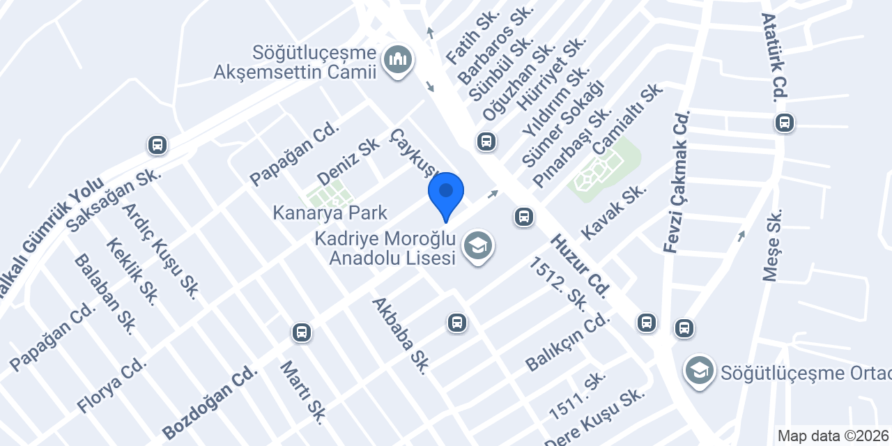 Tek Tem Halı Yıkama konumu