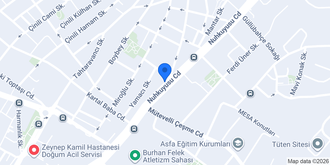 Papatya konumu