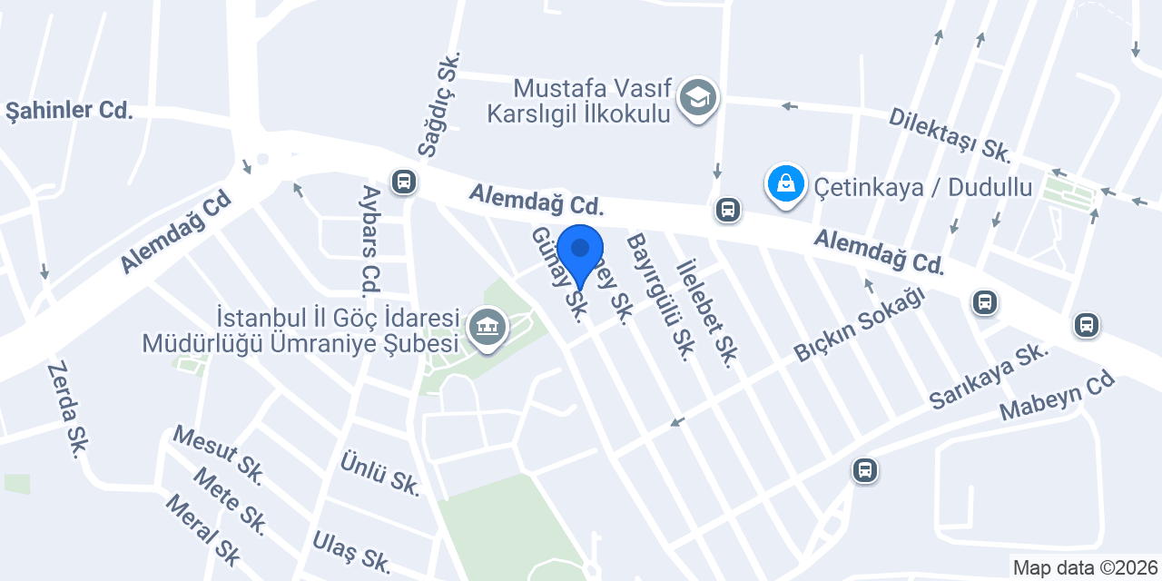 Algöç Göç Danışmanlık konumu