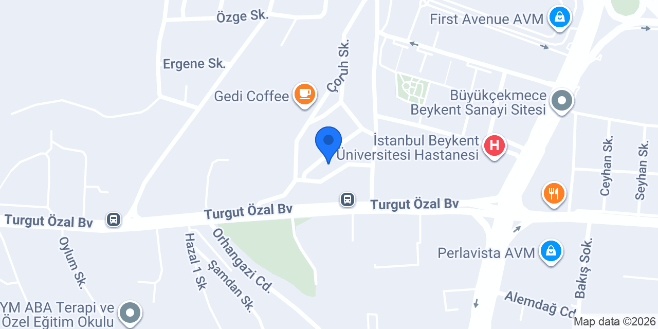 Brain Danışmanlık konumu