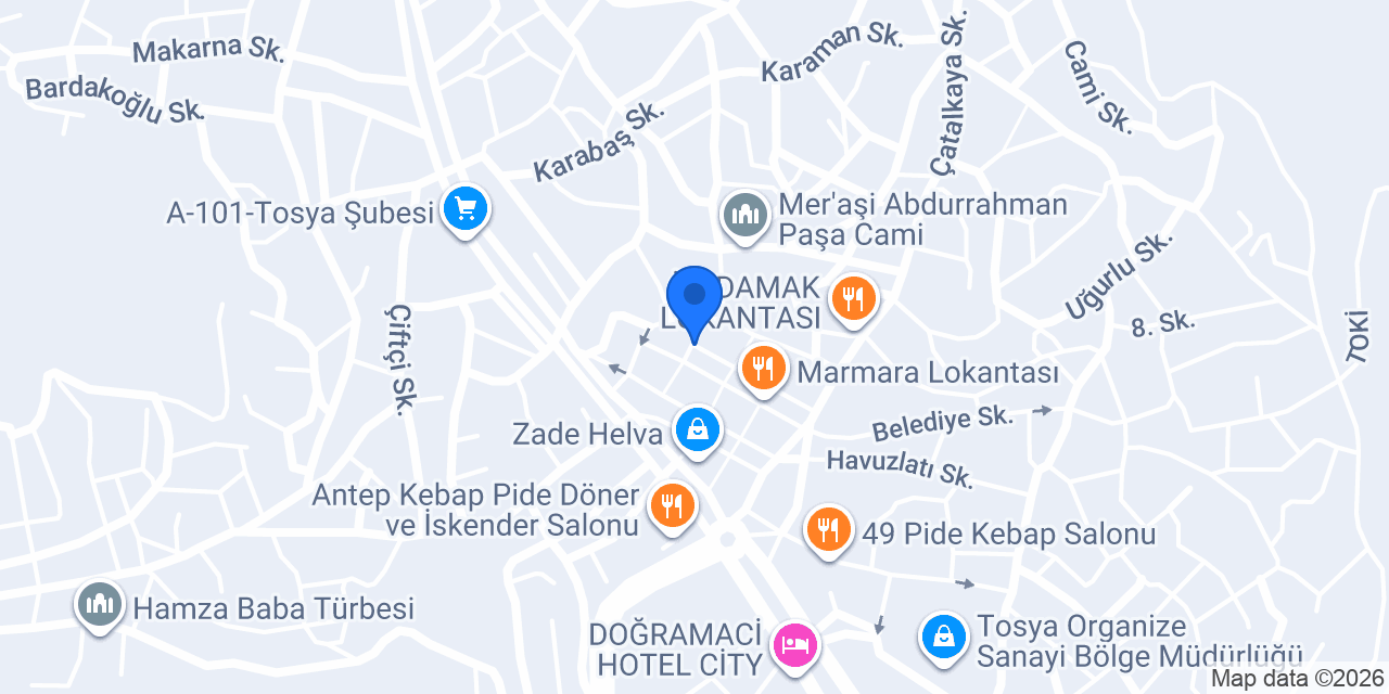 Doğan Elektrik konumu
