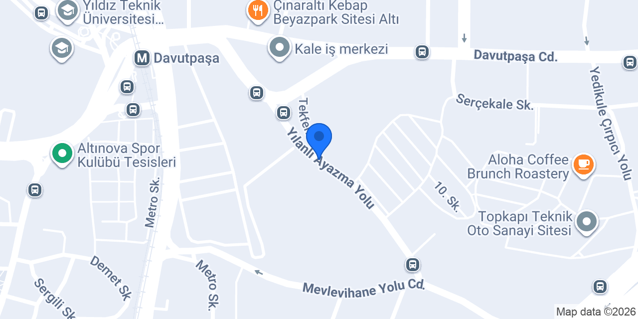 Dyt. Berçem Ecem Ersingün konumu