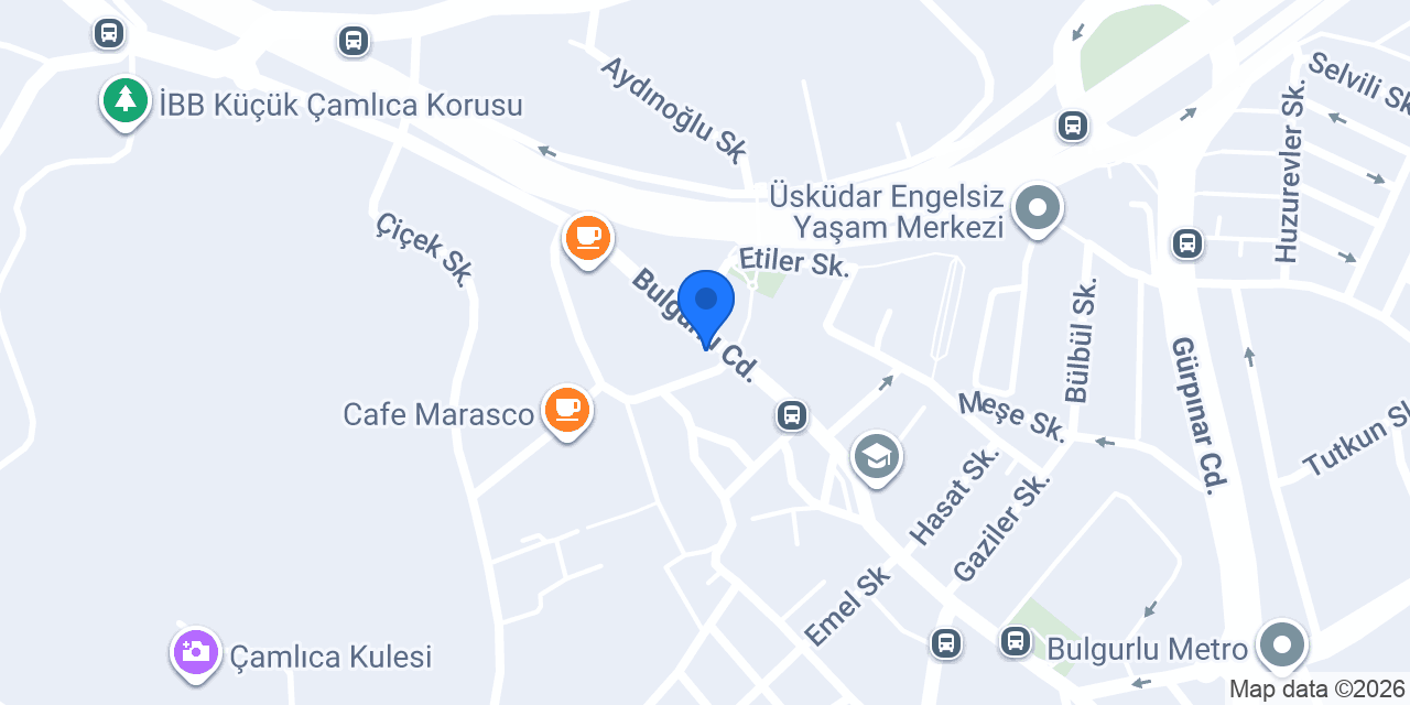 Salon MusSe konumu
