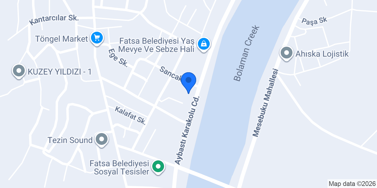 Fatsa Devlet Hastanesi Dolmuş Hattı konumu