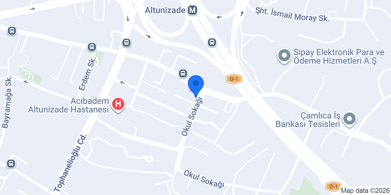 Berber Aytek dede konumu