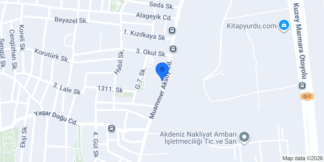 Bihter Özcan Floortime Terapist konumu