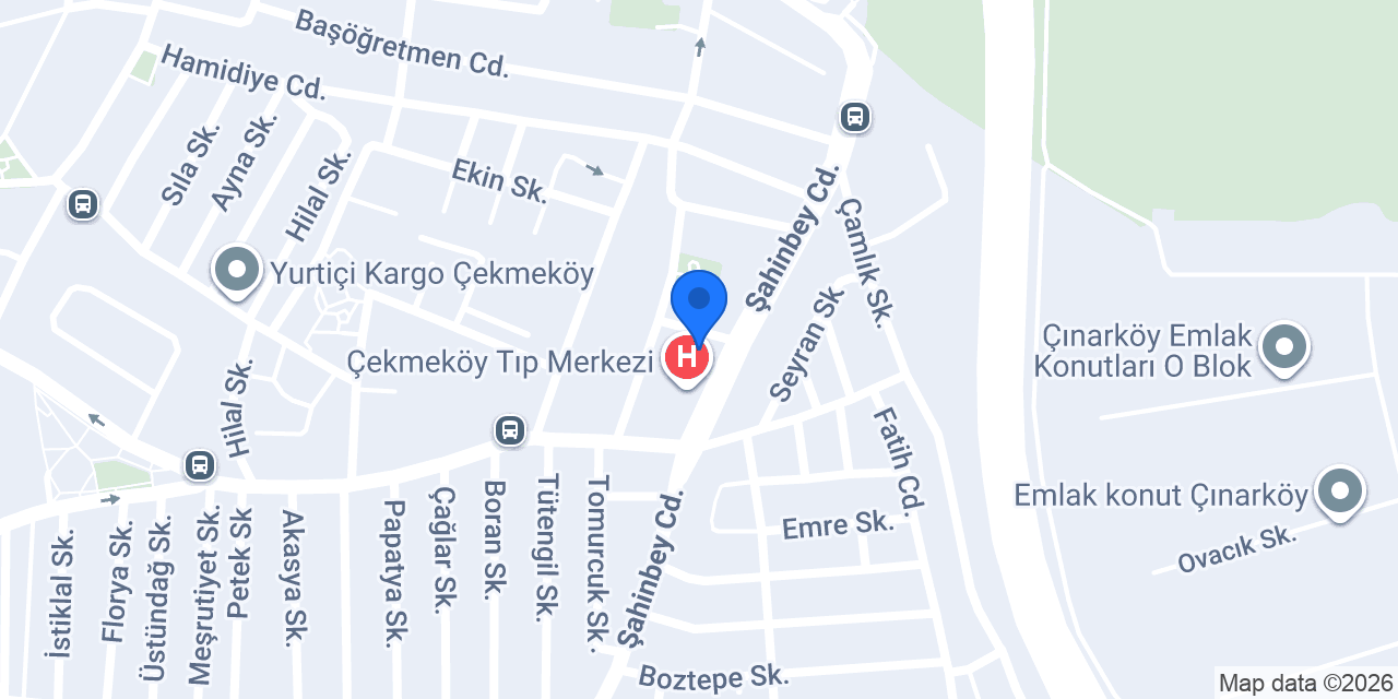 Atma Gıda Ve Tekstil konumu