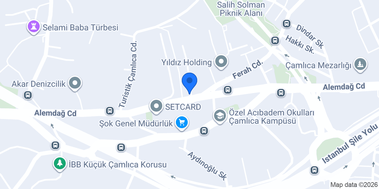 PETLAS-Lastik Türk konumu