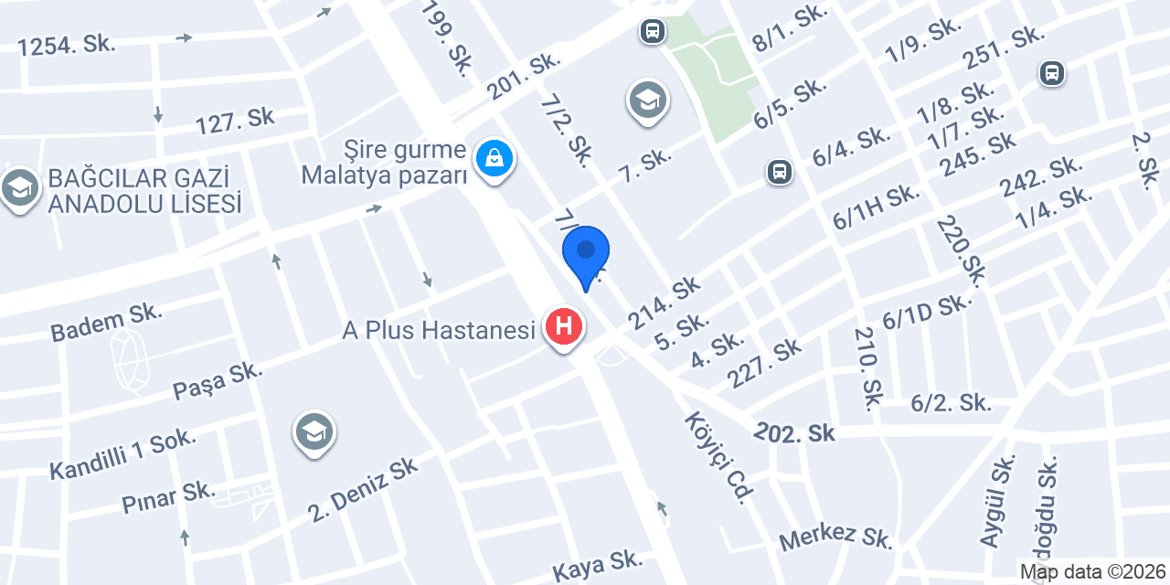 Salon Çelik konumu