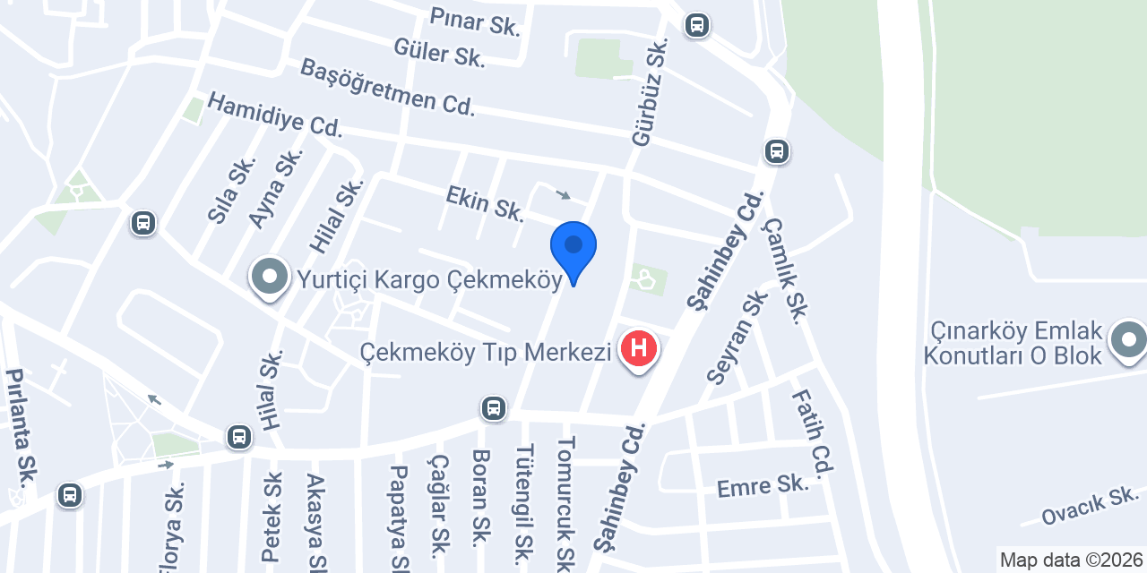 Asel Bilgi Sistemleri konumu