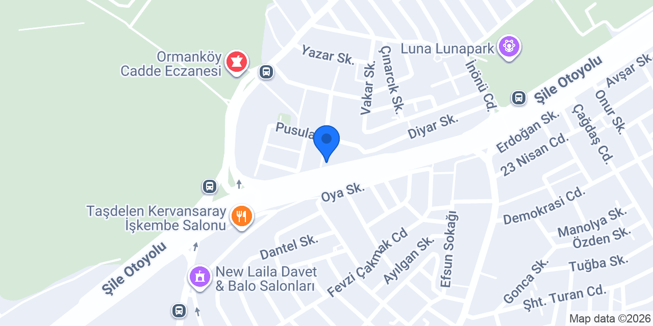 Rozet AUTO konumu