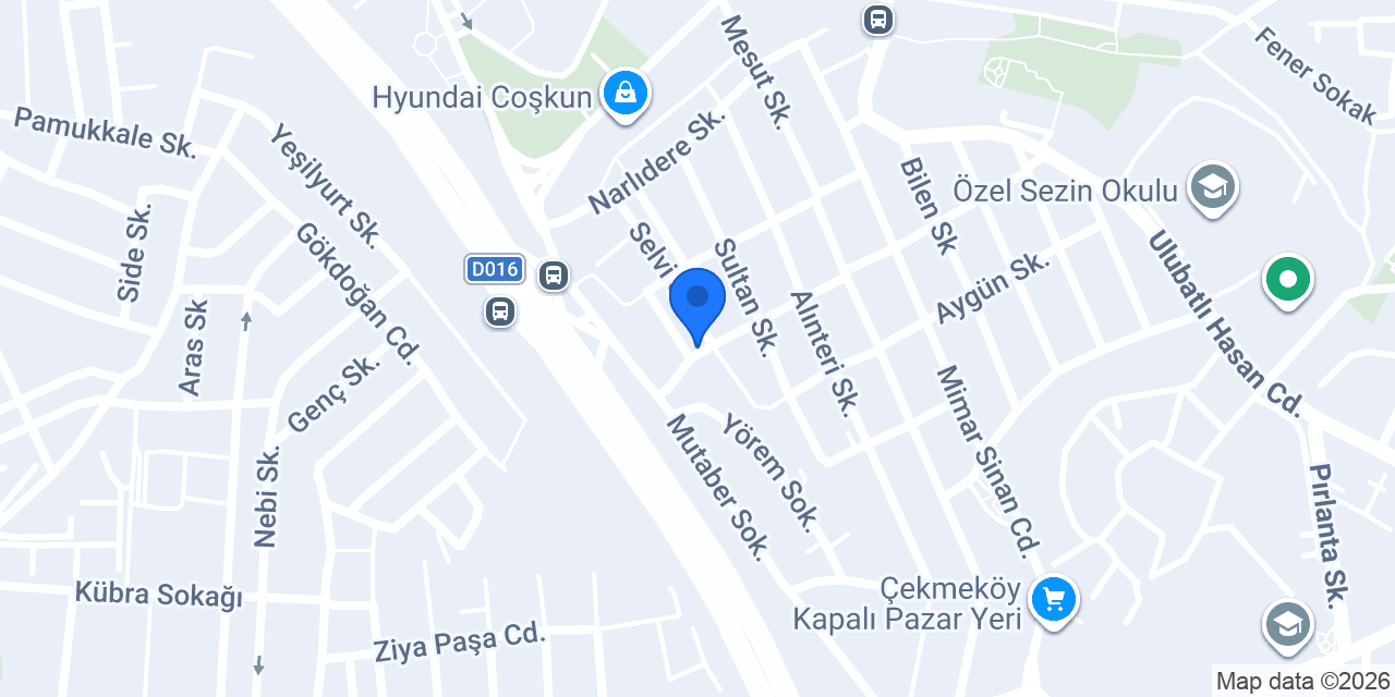 Köpek Yavrusu konumu