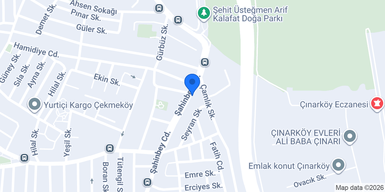 Elif Ozalit Reklam konumu