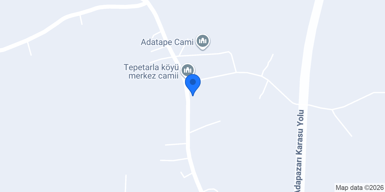 Sakarya Proyem Levent Ticaret konumu