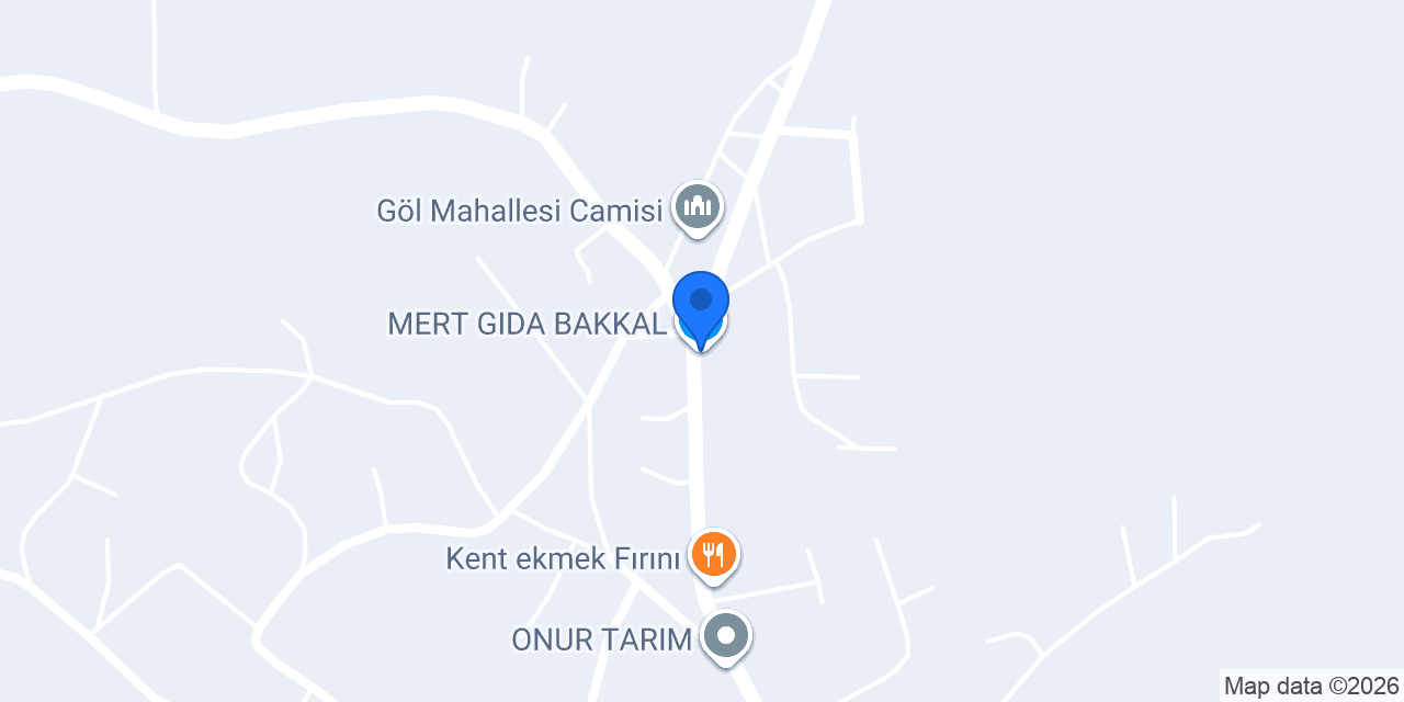 MERT GIDA BAKKAL konumu