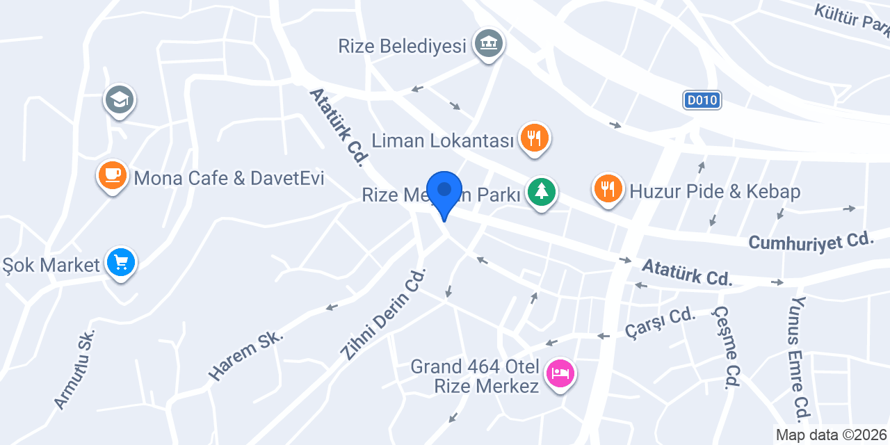 Fizyoterapist İlayda Gür konumu