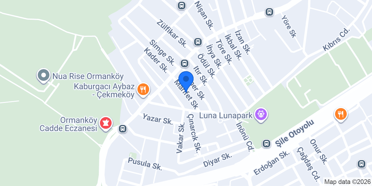Elasya Tur konumu