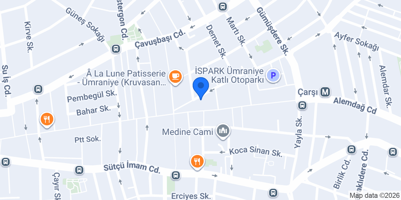 Bileyci nedim usta konumu