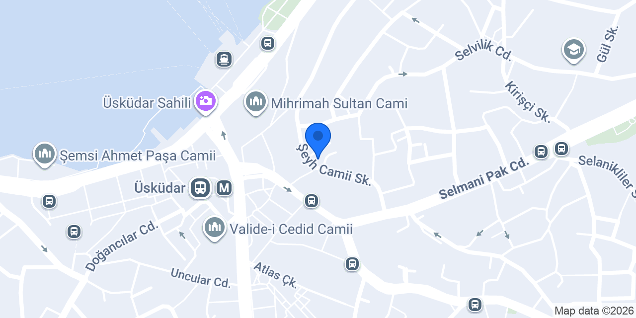 Alter Psikoloji konumu