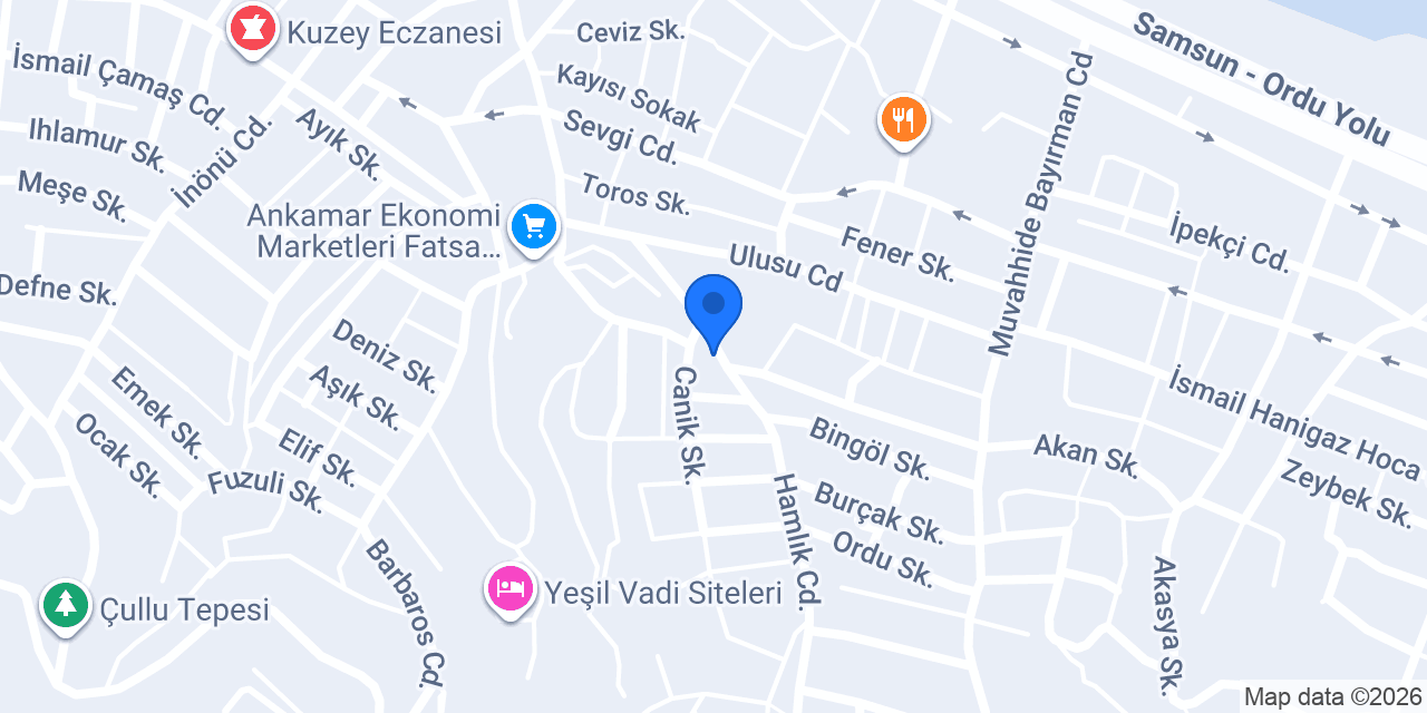Güney Elektirik konumu
