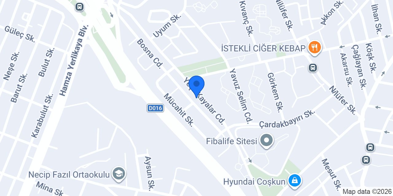 VET CHECK VETERİNER KLİNİĞİ konumu