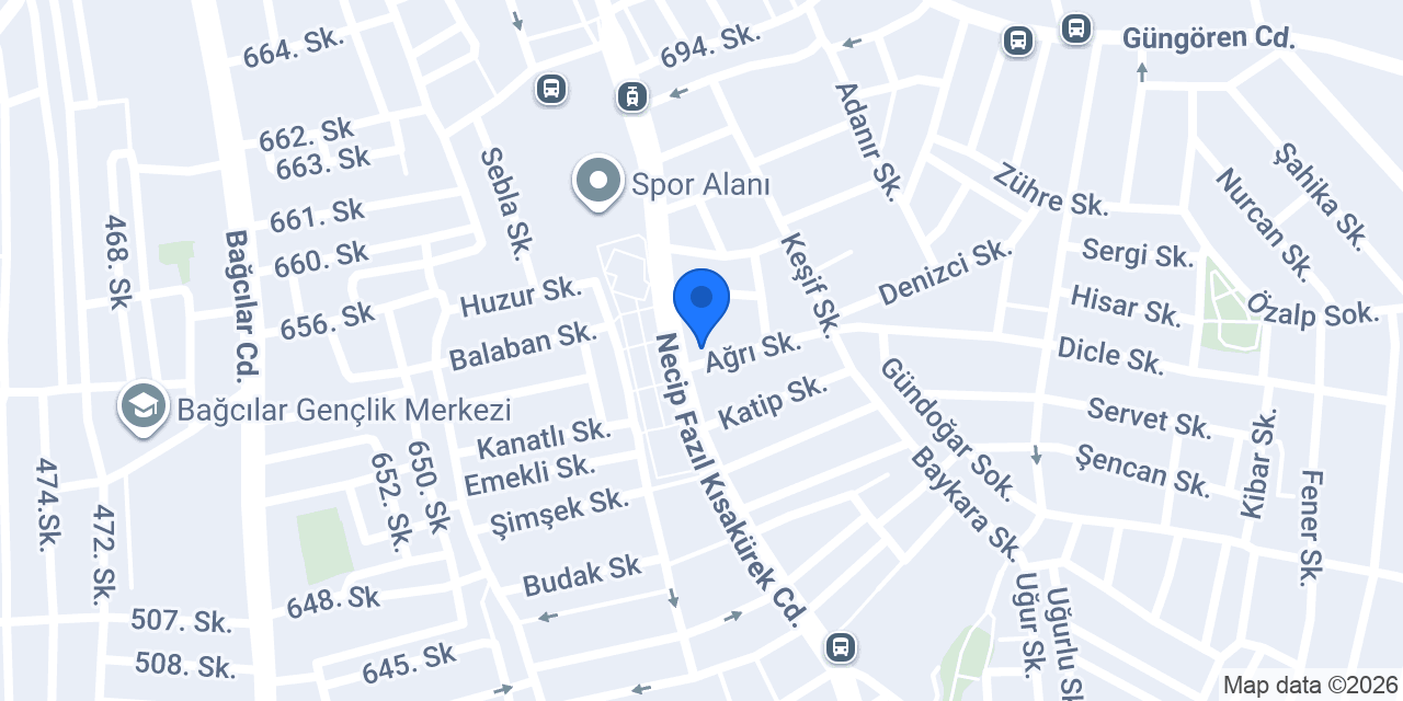 Aslan Triko'da Çalişacak konumu