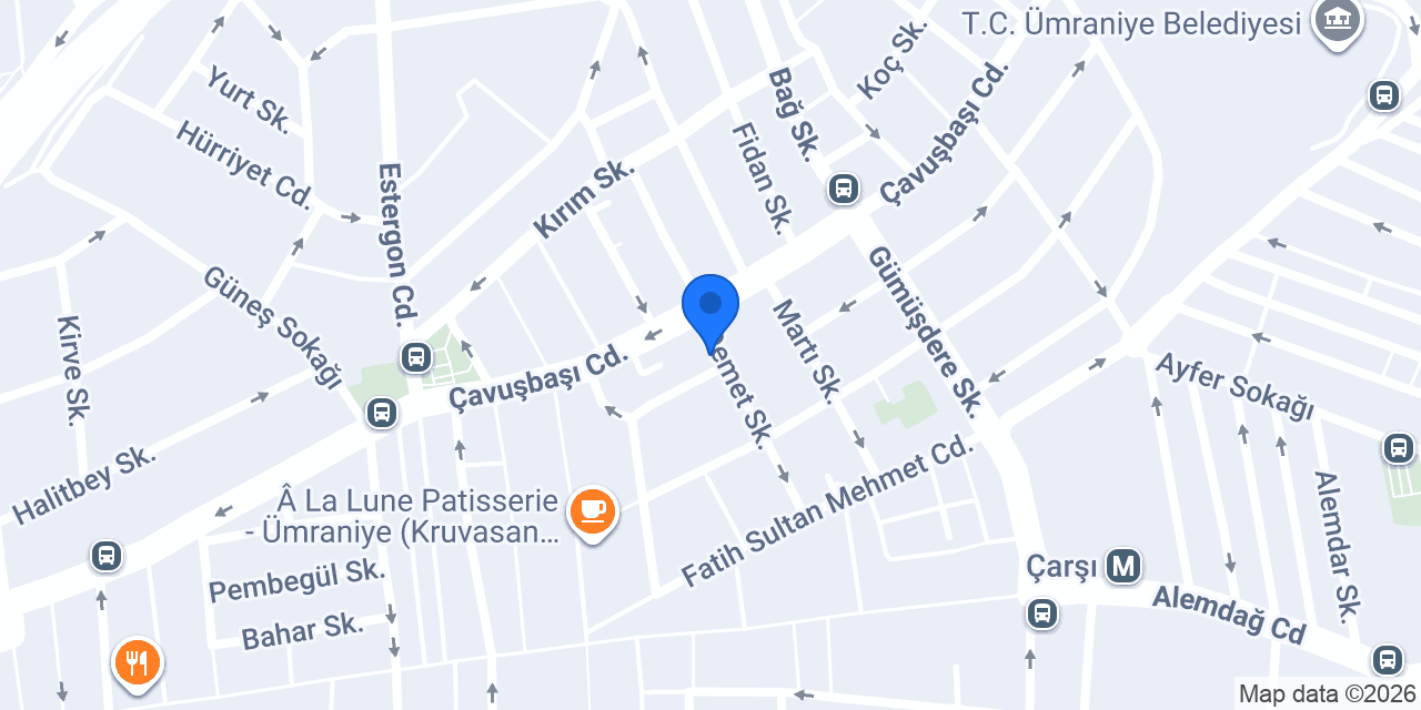 Birsen Bayan Terzi konumu