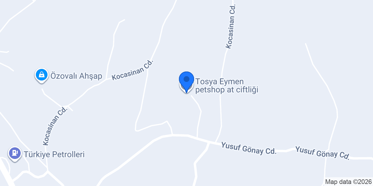 Tosya Eymen petshop at ciftliği konumu