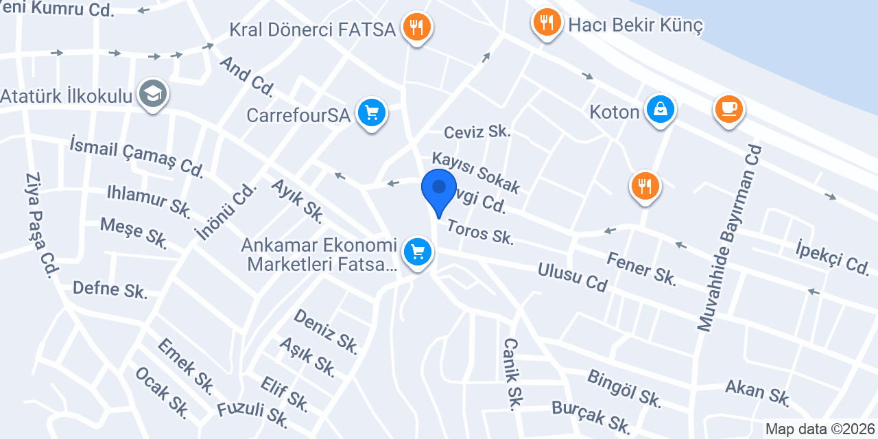 Fatsa Dondurma konumu