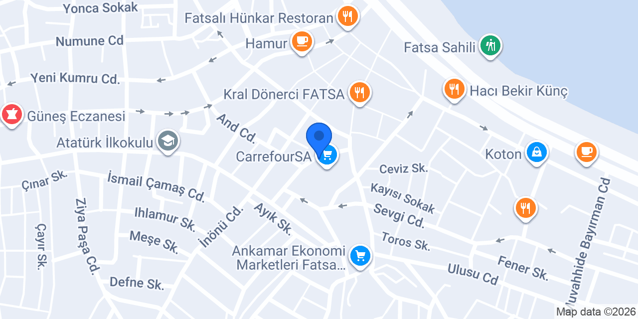 Fatsa Taksi konumu