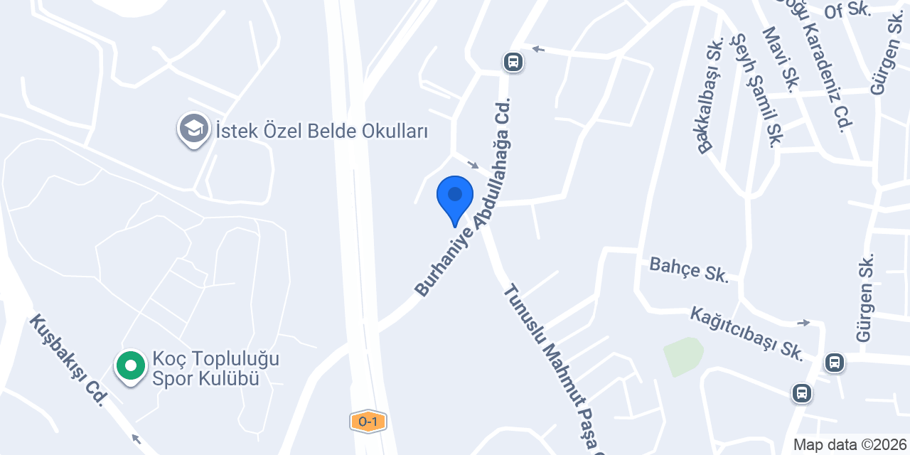 Vente Dış Ticaret Danışmanlık AŞ konumu