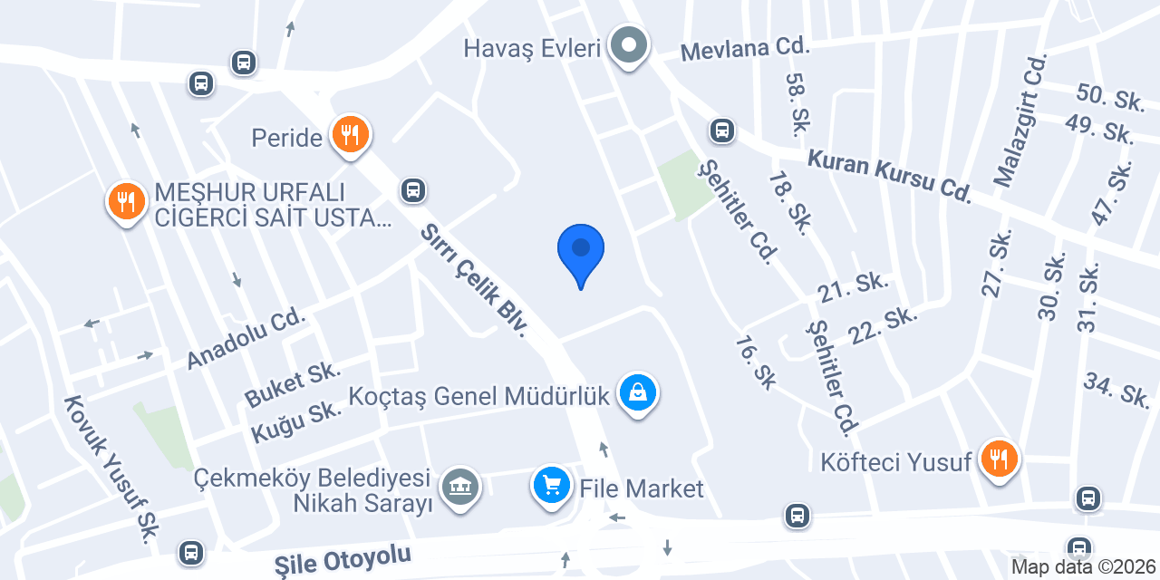 Düzey Genel Müdürlük konumu