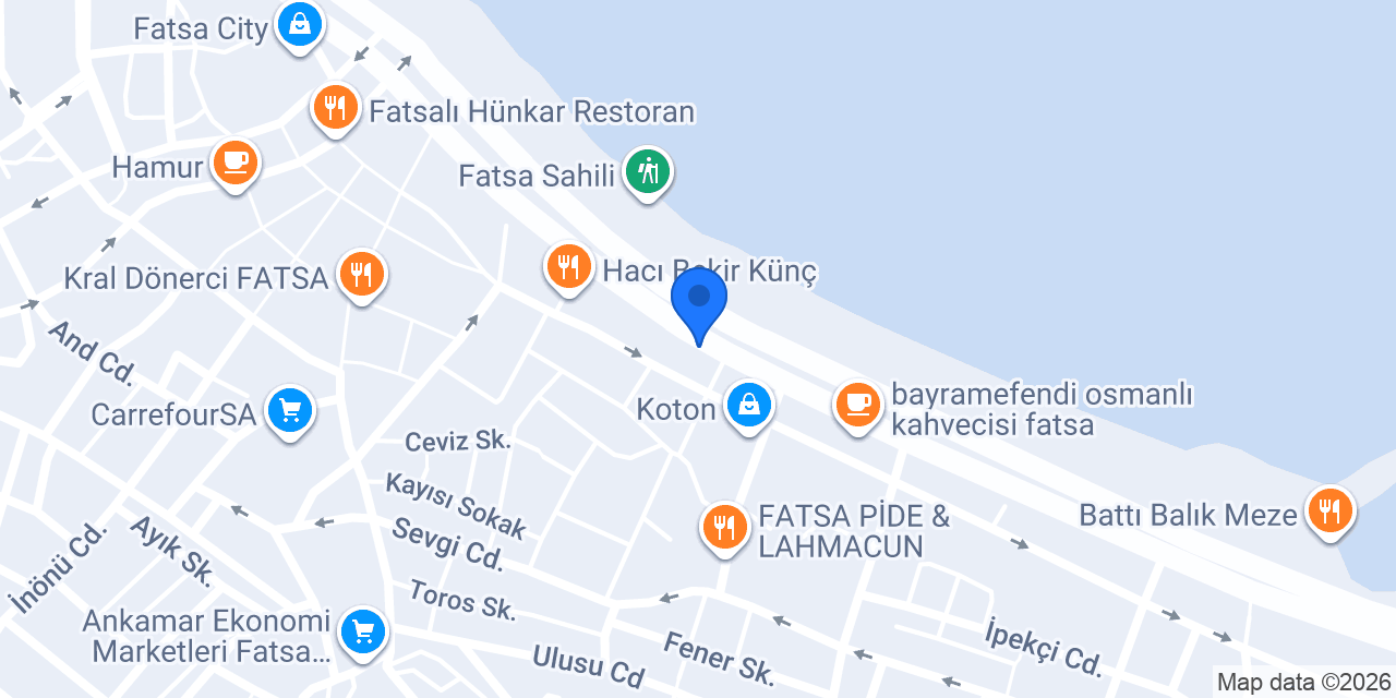 N Suite 2 Fatsa Otel konumu