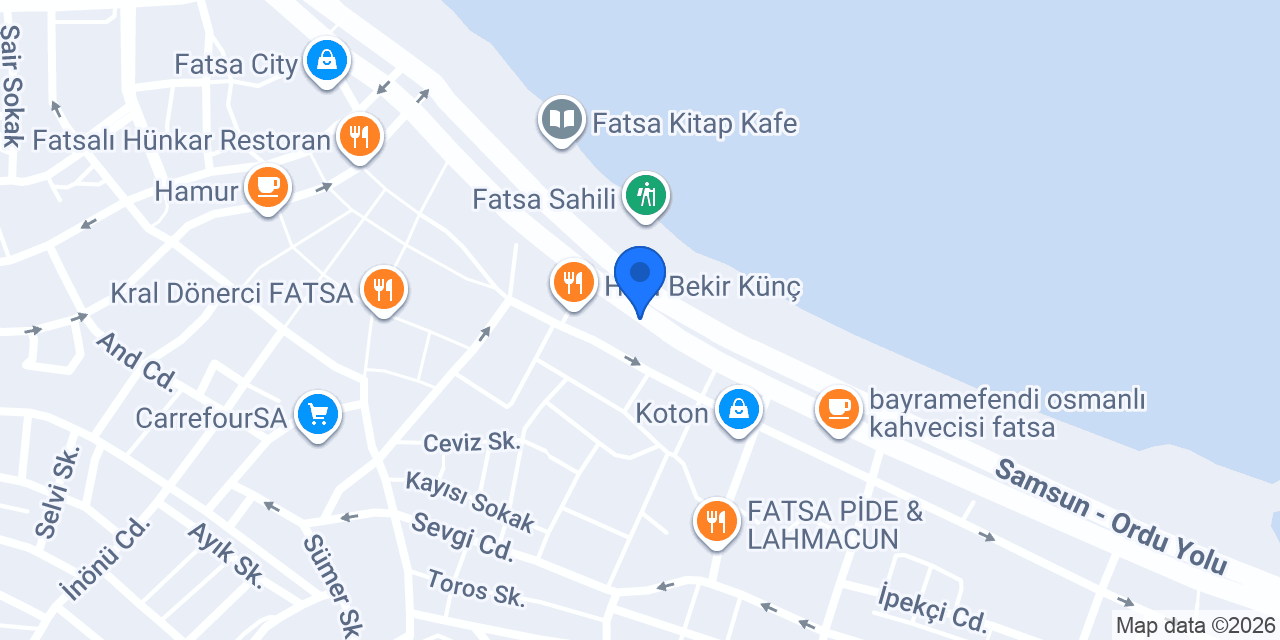 Aras Kargo Fatsa Şubesi konumu