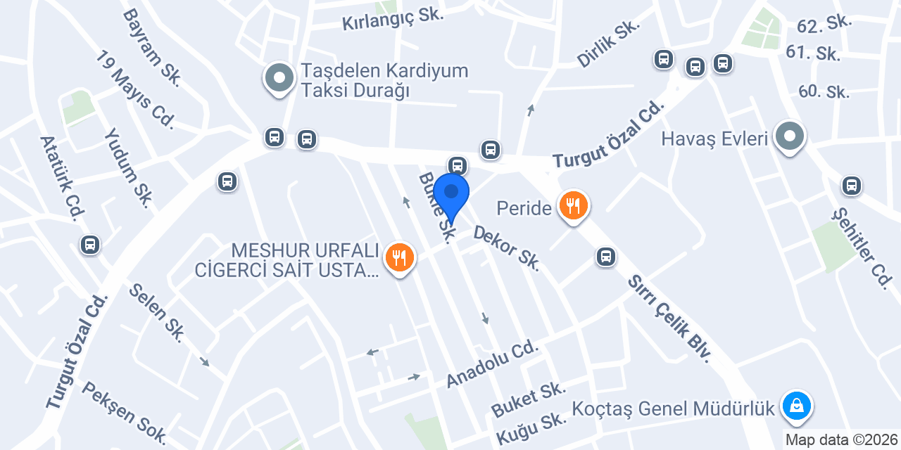 Aktif Beyin konumu