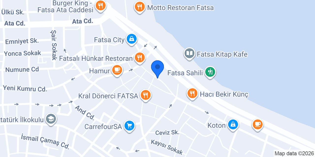 Fatsa Modi Turizm konumu