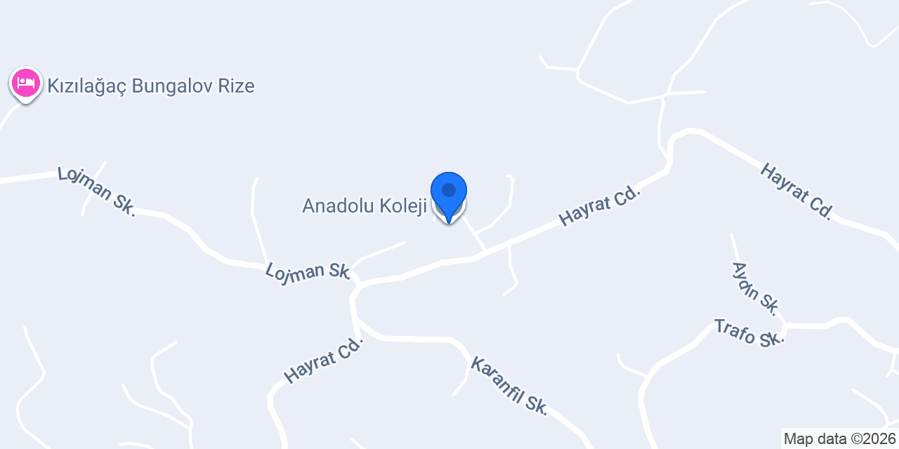 Anadolu Koleji konumu