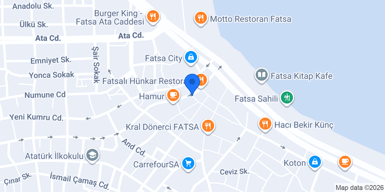 Kasap Burger Fatsa konumu