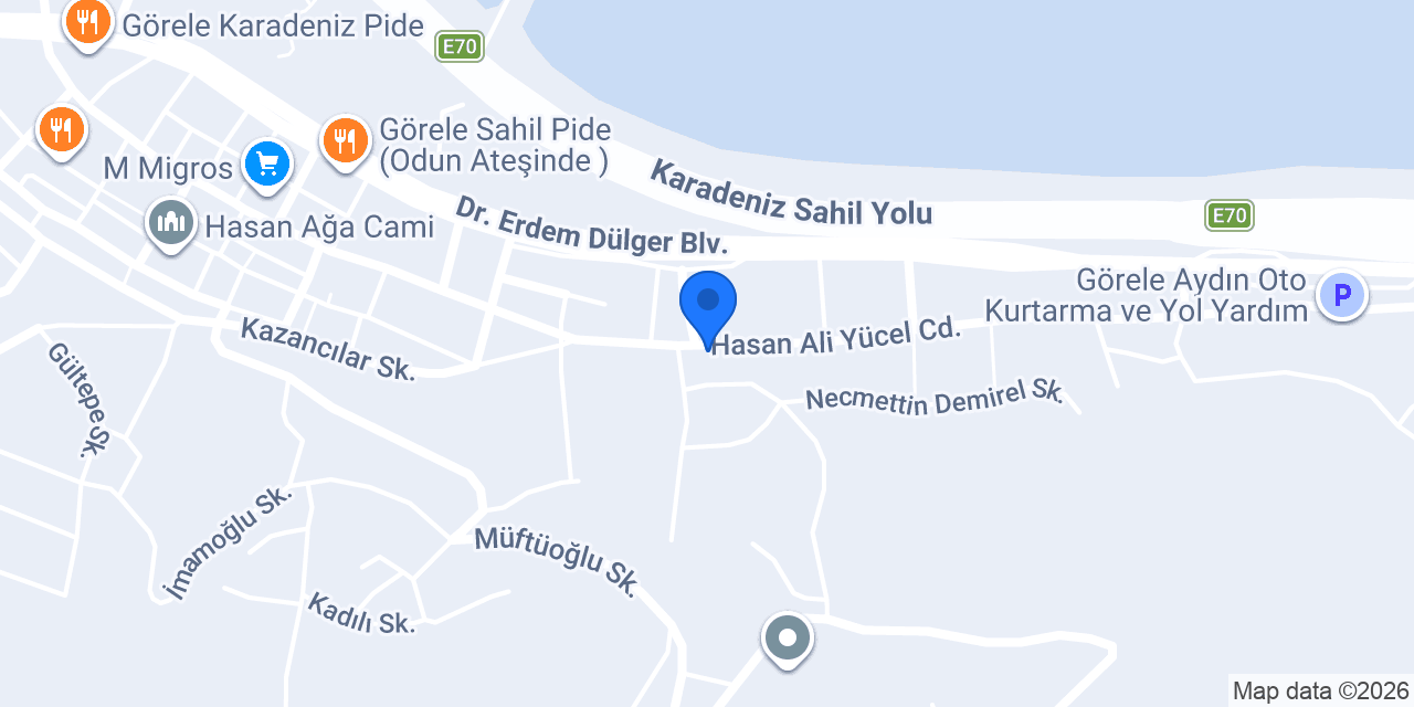 Hayalim Organizasyon konumu
