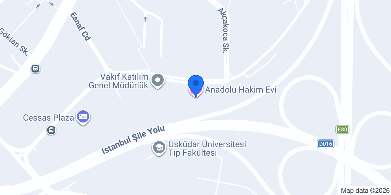 Anadolu Hakim Evi konumu