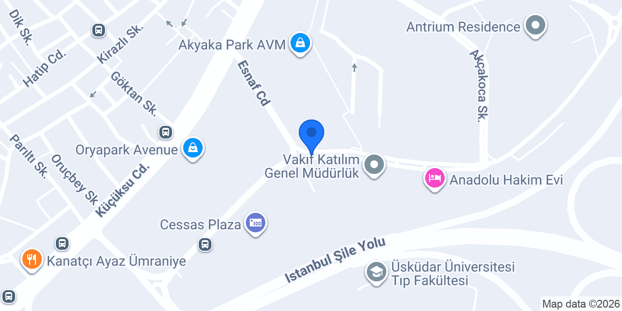Zen Girişim konumu