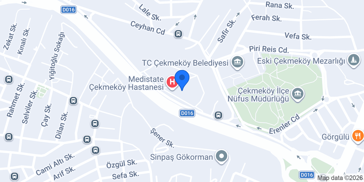 Doç. Dr. Burak Karabulut konumu