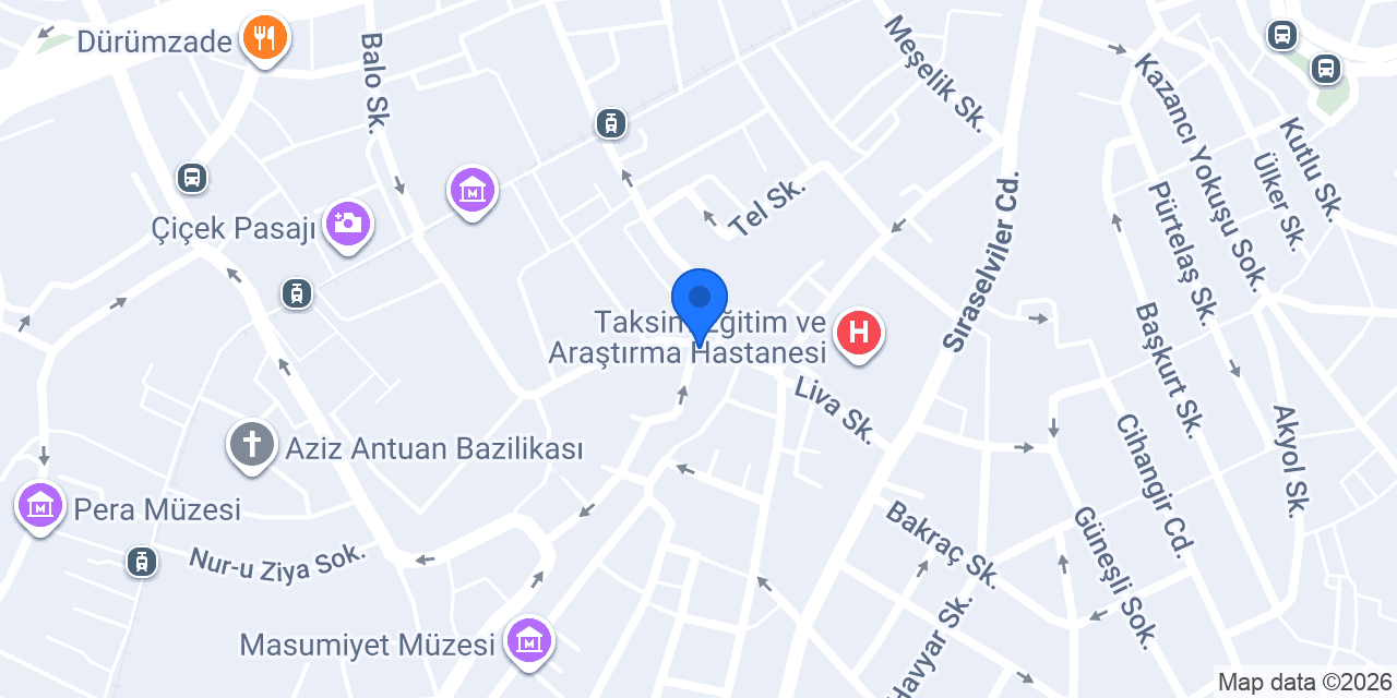 Seferci Köpek Bakım Evi konumu