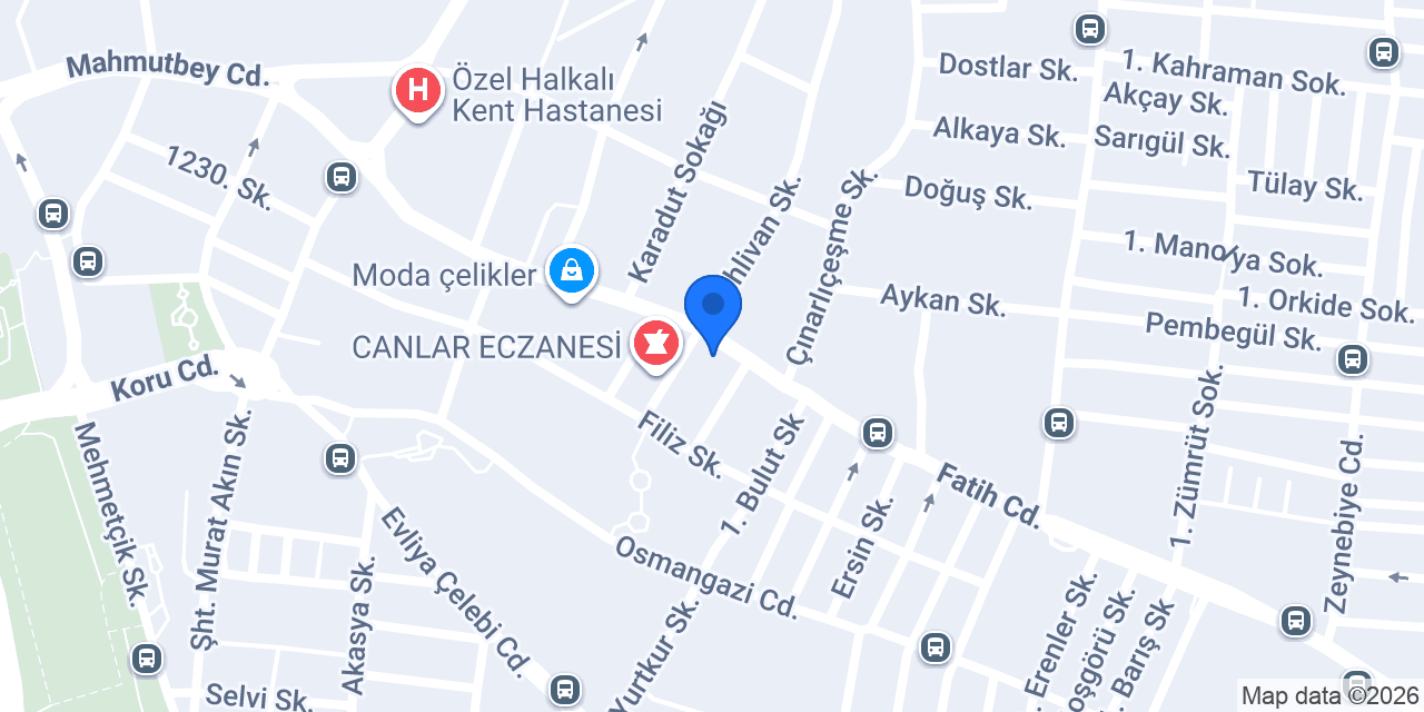ALG Gümrük Müşavirliği konumu
